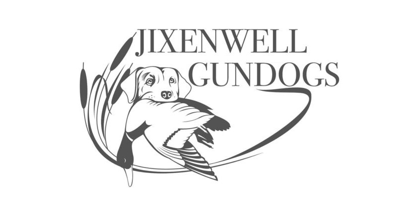 Jixenwell Gundogs - All About Dogs Newark 2024