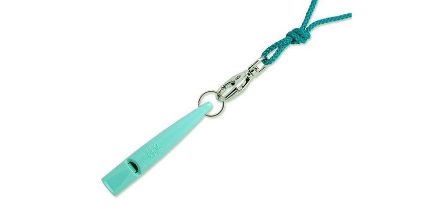 The Game Fair  - Ragley Hall 2016: Turquoise Whistle