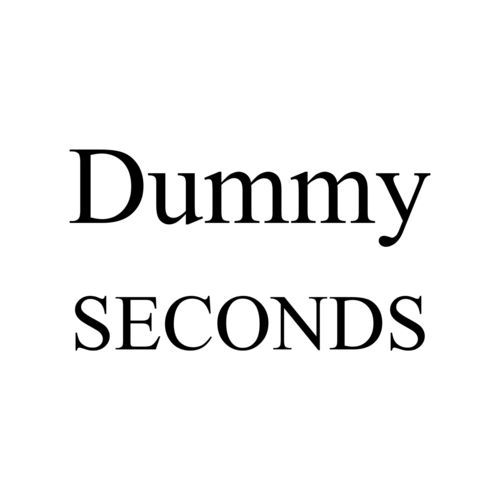 Dummy - SECONDS image #1