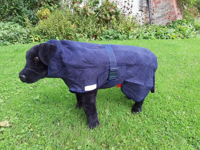 stuffed dog wearing siccaro blue drying coat